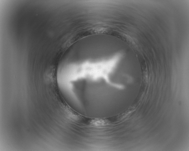 X0000075810181200609291354