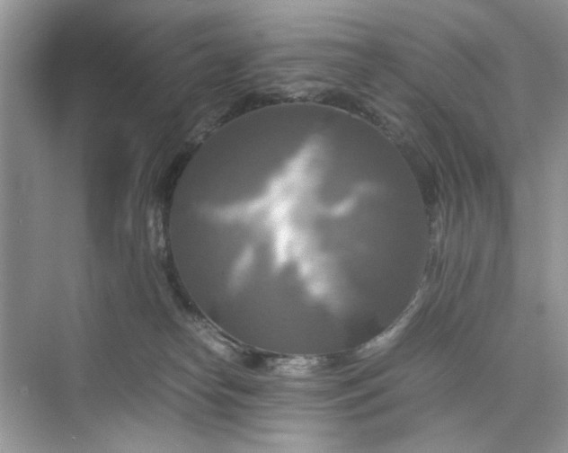 X0000075810182200609291354