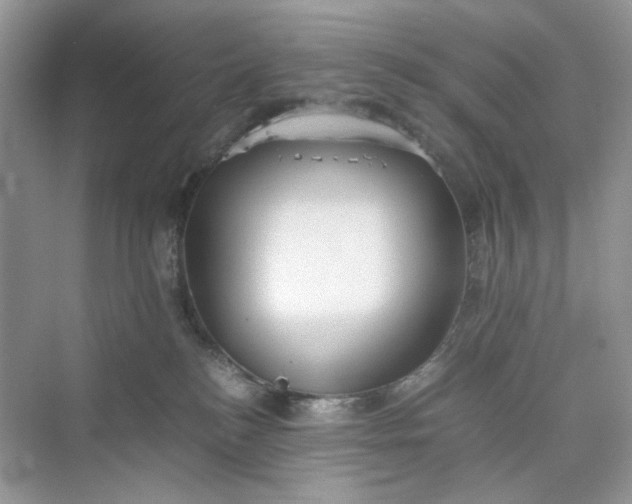 X0000075810184200609291354