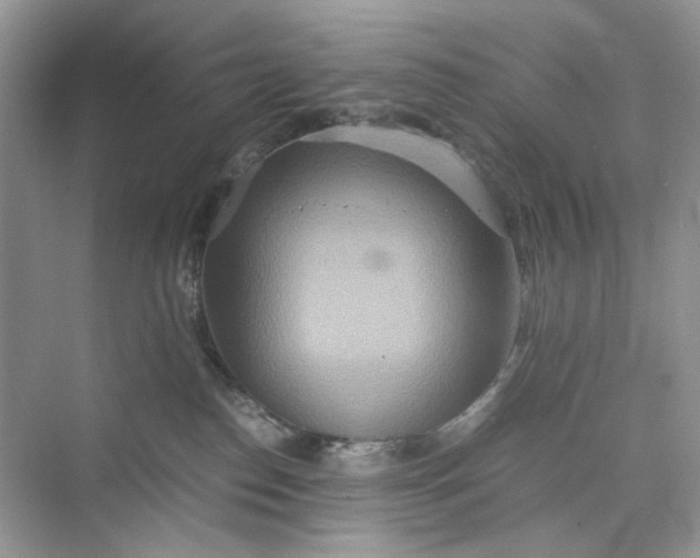 X0000075810186200609291354