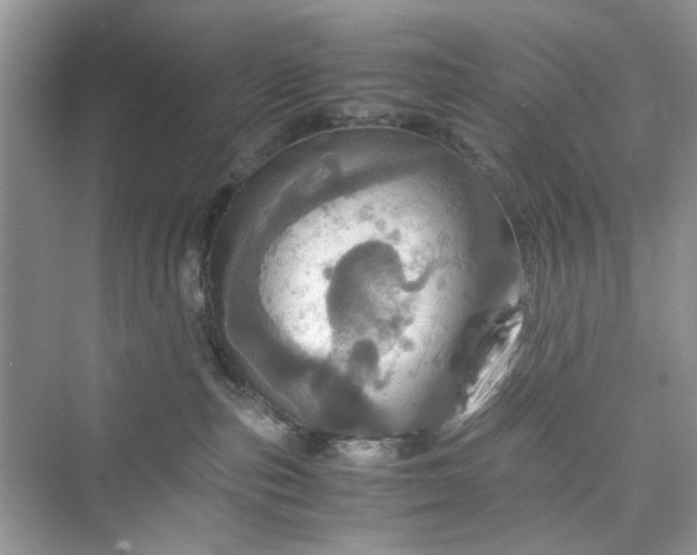 X0000075810187200609291354