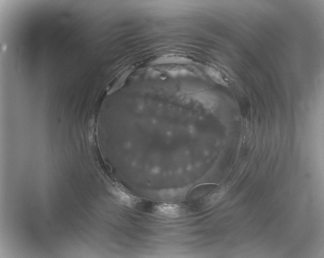 X0000075810189200609291354