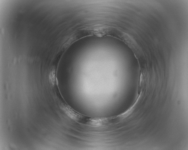 X0000075810190200609291354