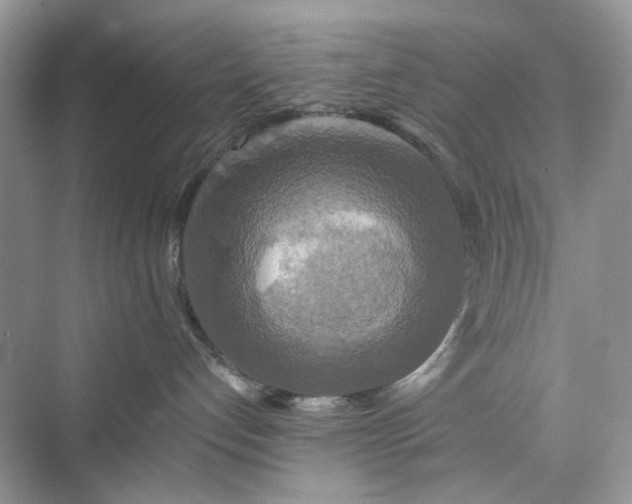 X0000075810192200609291355