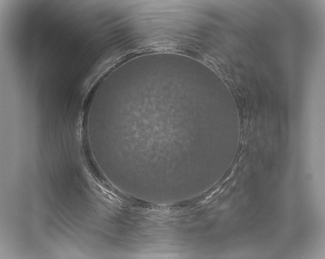 X0000075810194200609291354