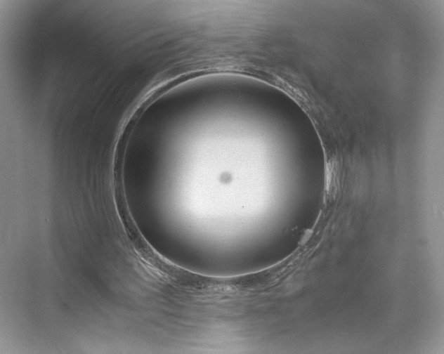 X0000075810195200609291354