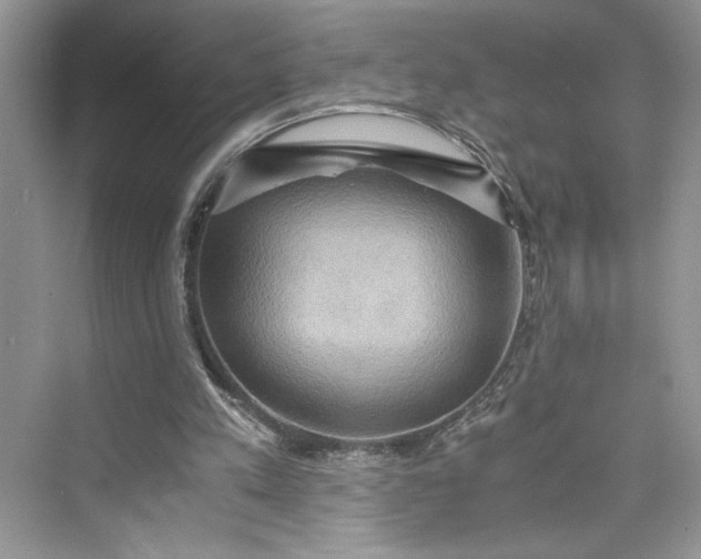 X0000075810197200609291354