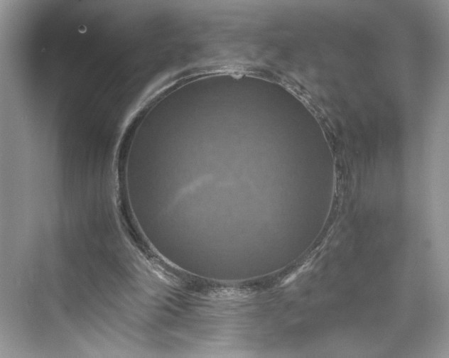 X0000075810198200609291354