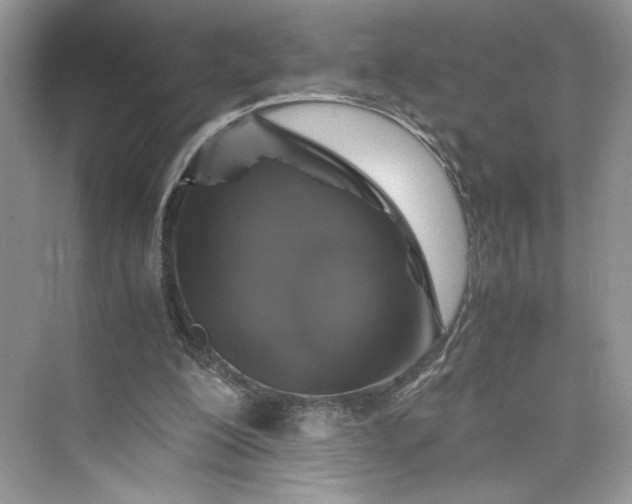 X0000075810200200609291354