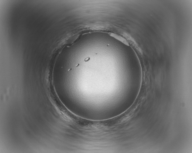 X0000075810201200609291354