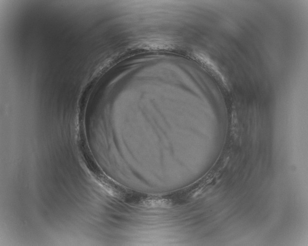 X0000075810202200609291354