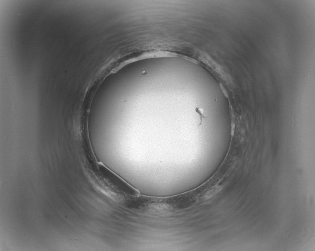 X0000075810203200609291354