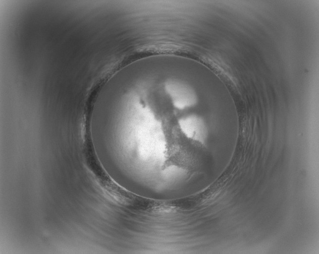 X0000075810206200609291353