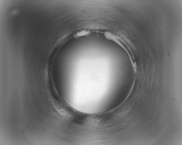 X0000075810207200609291353