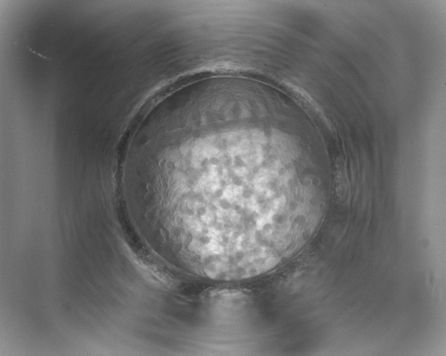 X0000075810208200609291353