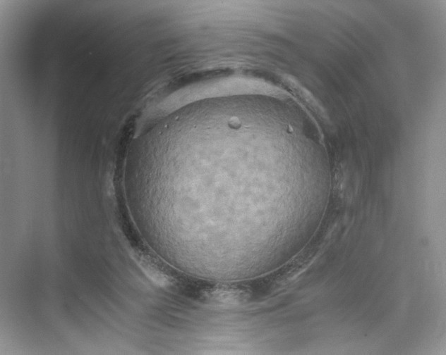 X0000075810209200609291353