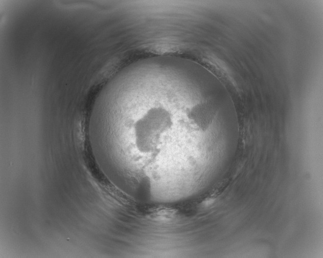 X0000075810210200609291353