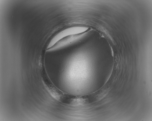 X0000075810212200609291353