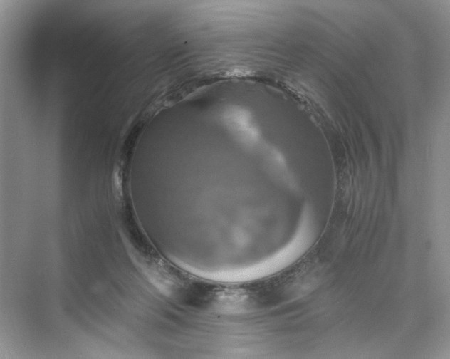 X0000075810214200609291353