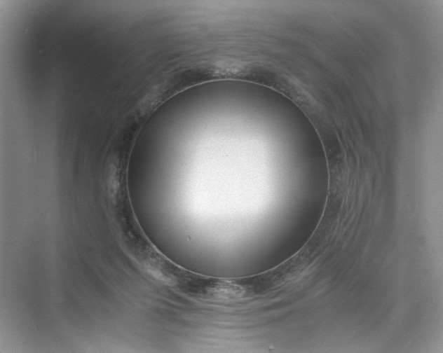 X0000075810215200609291353