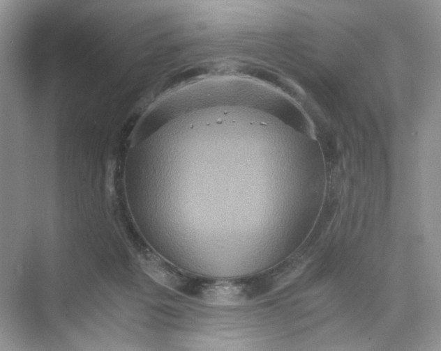 X0000075810217200609291353