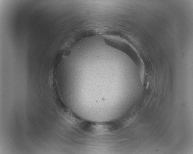 X0000075810221200609291353