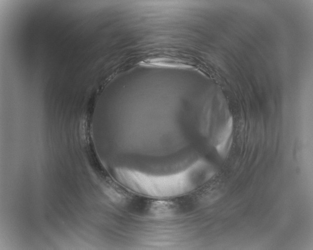 X0000075810222200609291353