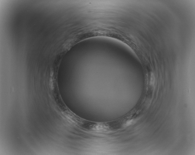 X0000075810223200609291353