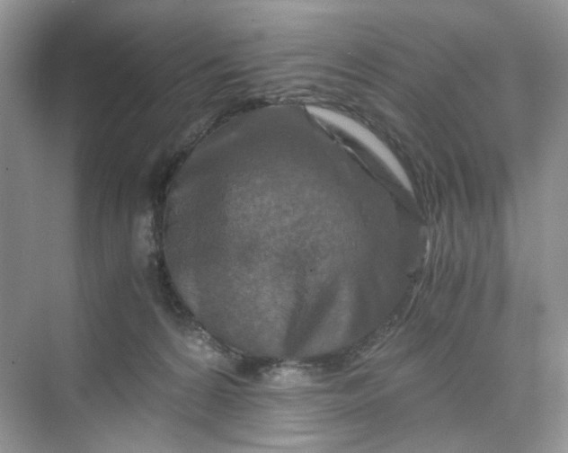 X0000075810224200609291353