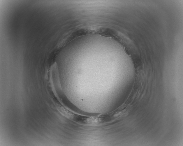 X0000075810225200609291353