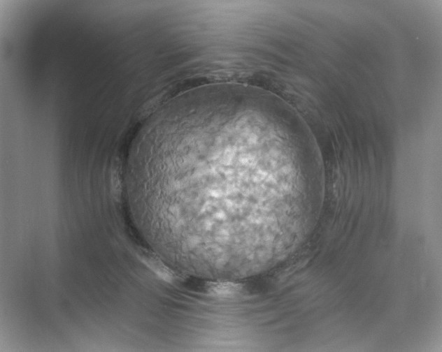 X0000075810226200609291353