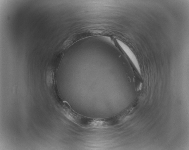 X0000075810227200609291353