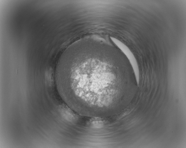 X0000075810228200609291353