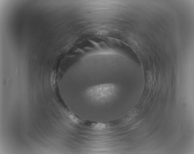 X0000075810230200609291353