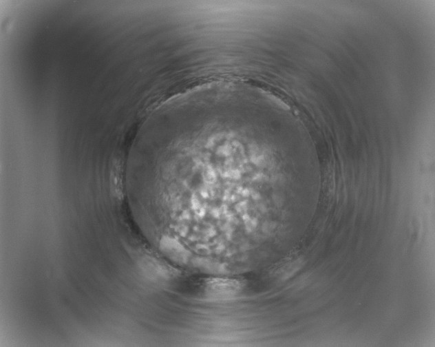 X0000075810234200609291353