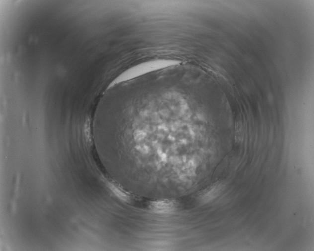 X0000075810238200609291353