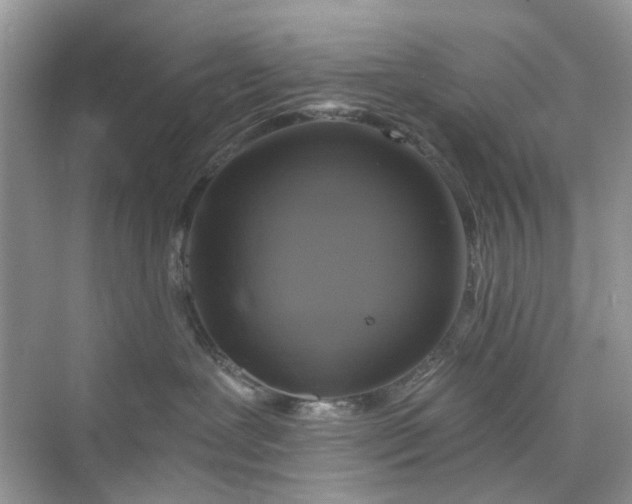 X0000075810239200609291353