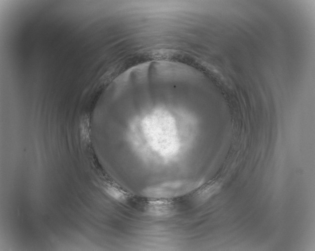 X0000075810240200609291353