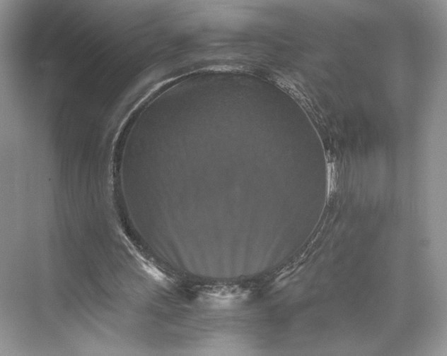 X0000075810243200609291352