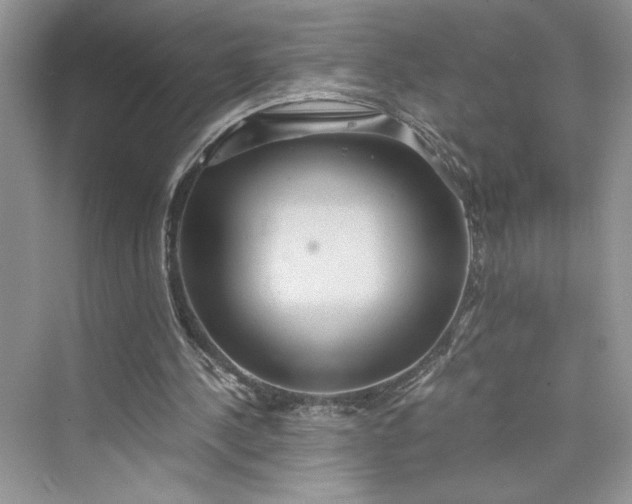 X0000075810244200609291352