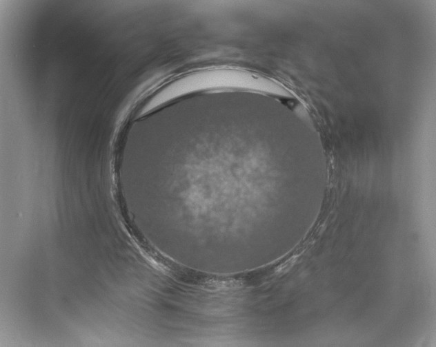 X0000075810245200609291352