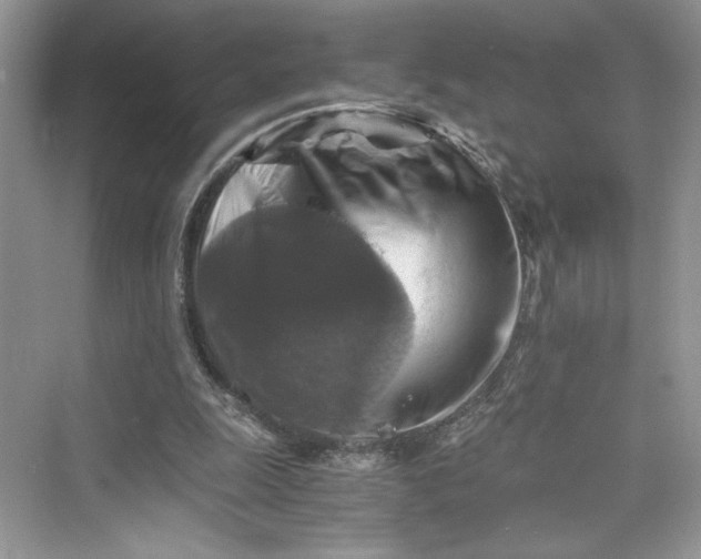 X0000075810247200609291352