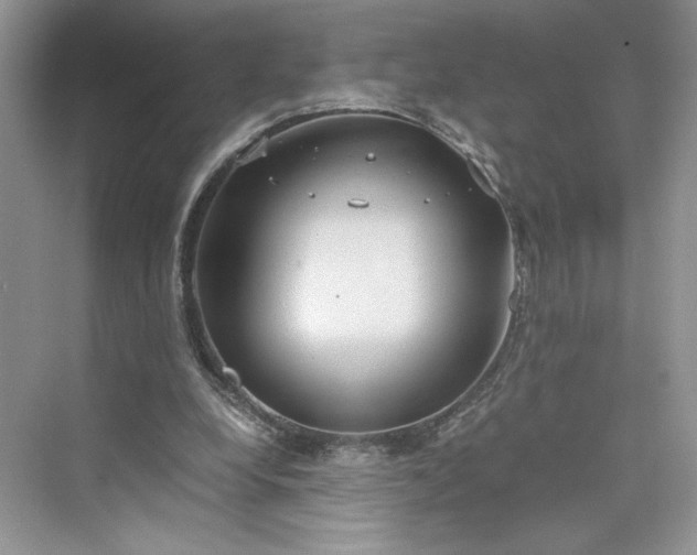 X0000075810248200609291352