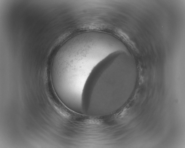 X0000075810250200609291352