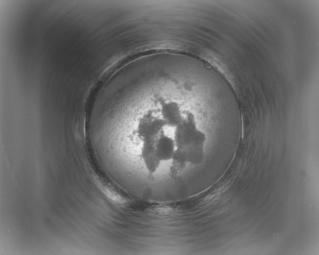 X0000075810253200609291352