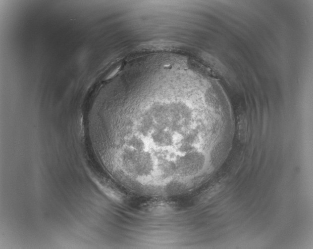 X0000075810254200609291352