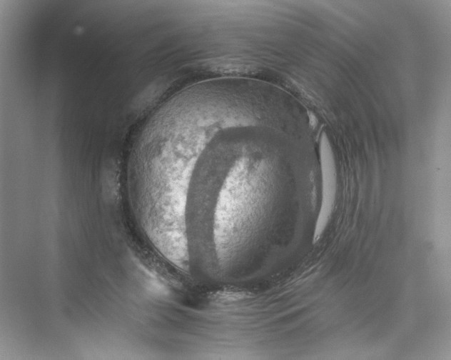 X0000075810255200609291352