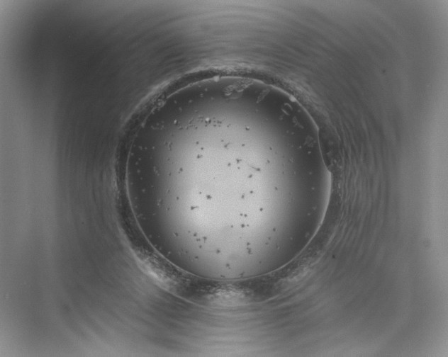 X0000075810256200609291352