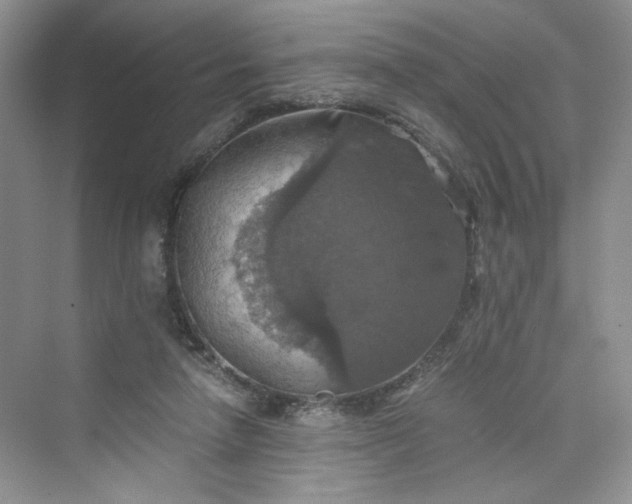 X0000075810258200609291352