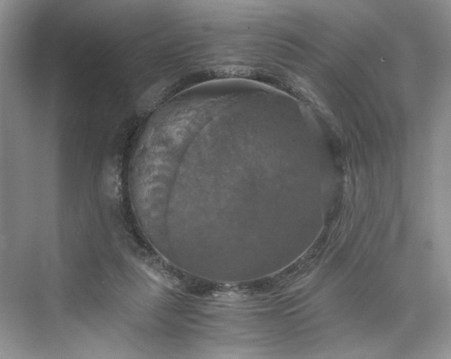 X0000075810259200609291352